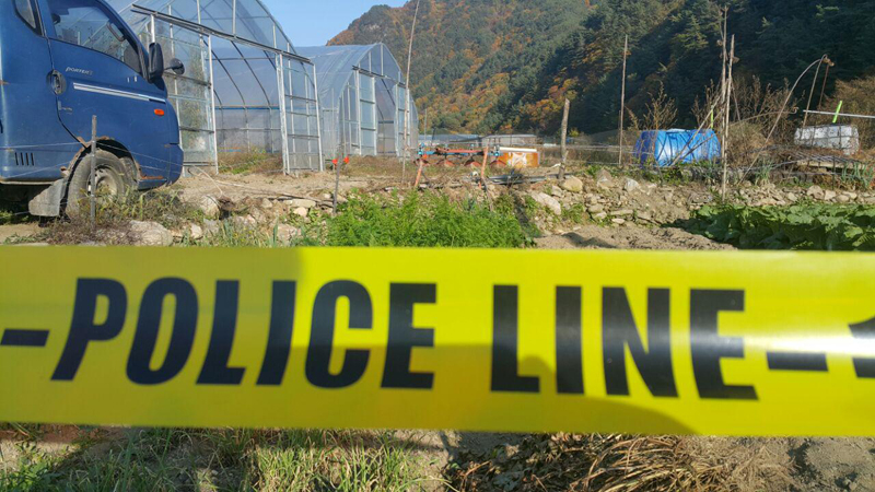 비닐하우스 자료사진