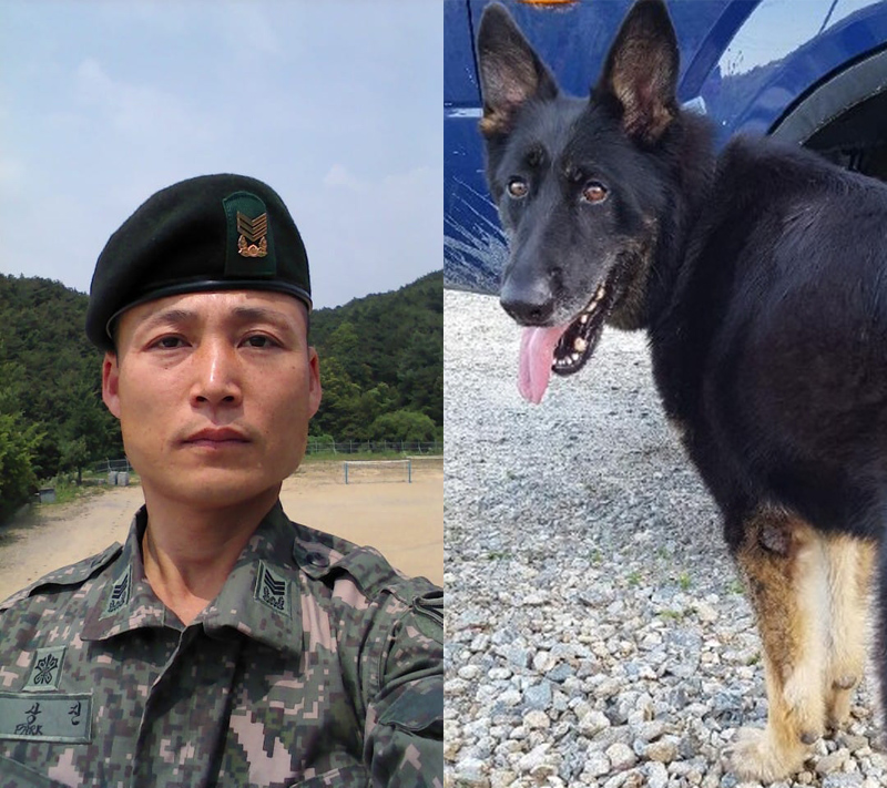 일등방송미디어기획 이미지