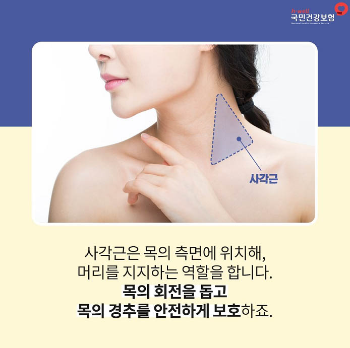 [길벗 칼럼] 목, 어깨 통증 잡는 4가지 운동 - 민중의소리