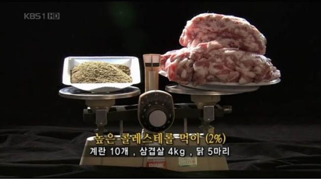2006년 KBS에서 방송되었던 다큐멘터리 ‘마음’의 한 장면.