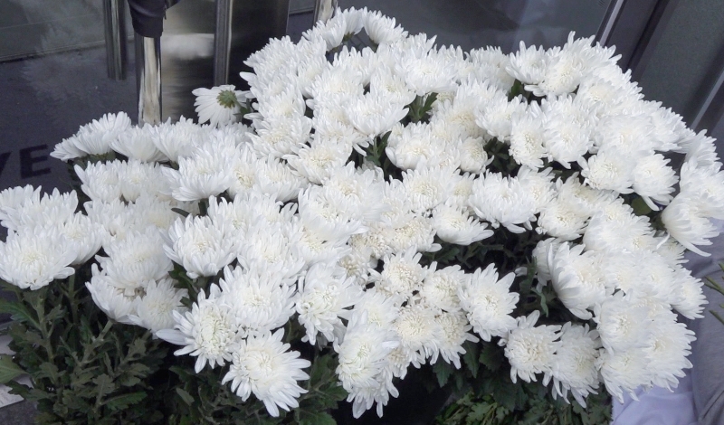 ‘이태원 참사’에 가요·방송계도 일정 취소...“애도” 동참