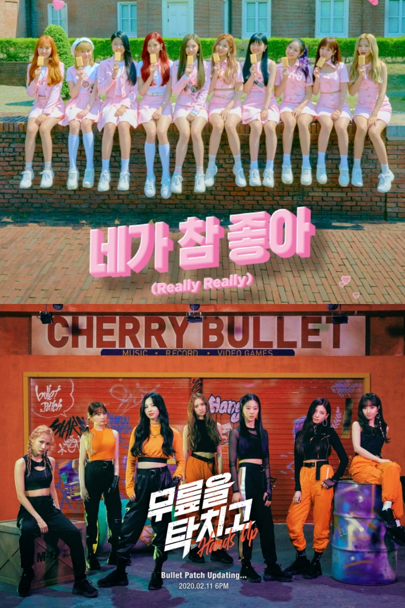 그룹 체리블렛