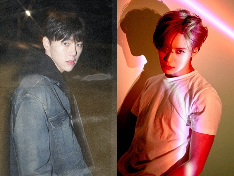 비니, 태민