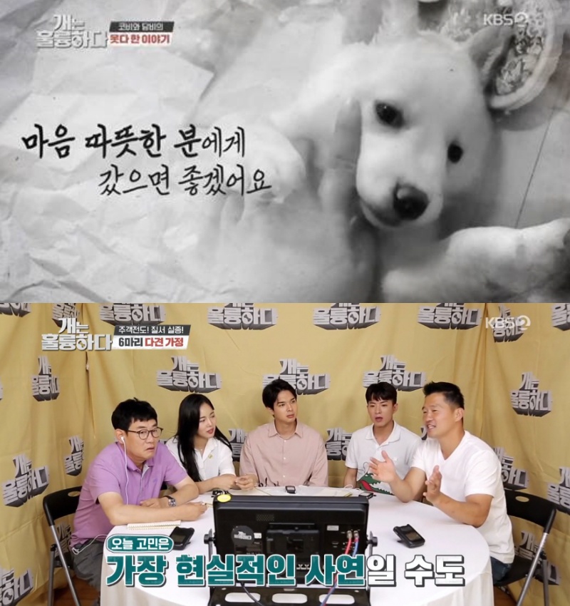 KBS 2TV '개는 훌륭하다' 방송 갈무리.