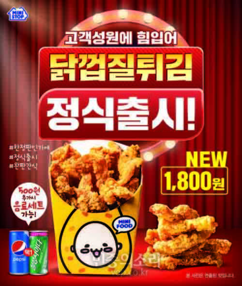 닭껍질튀김 자료사진
