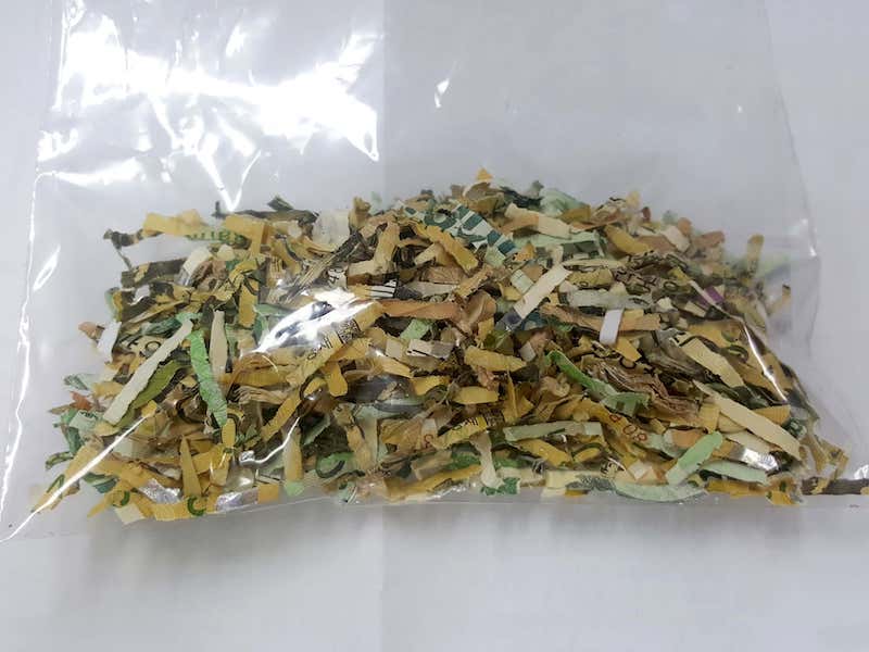 파쇄기에 55만원 갈아버린 사진
