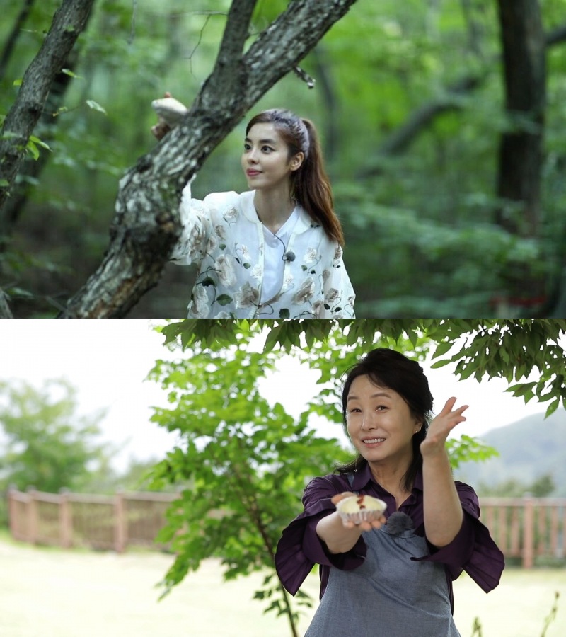 힐링다큐 나무야나무야 김규리와 김미숙