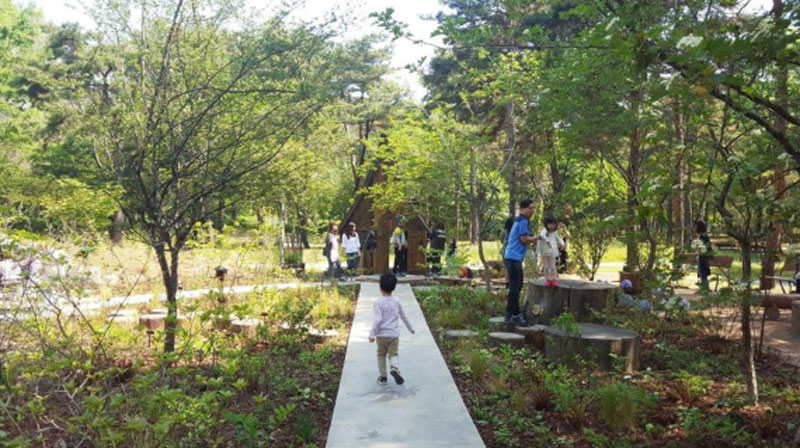서울시에서도 유아숲체험이 가능한 숲을 늘리고 있다.