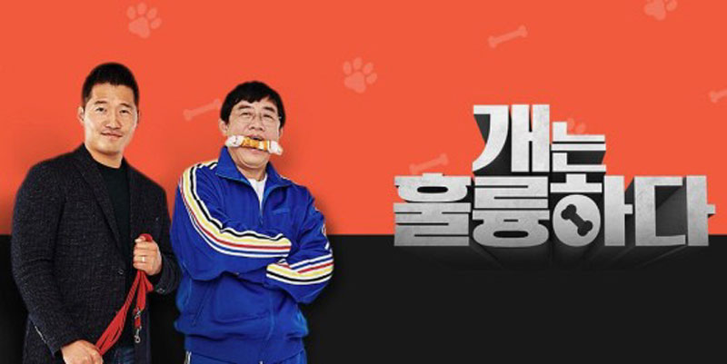 KBS 2TV 예능 '개는 훌륭하다'