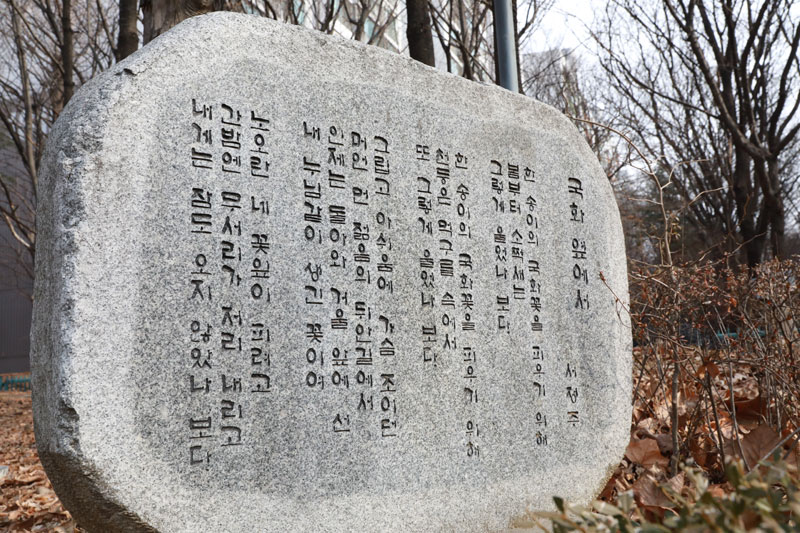 부천시가 3.1운동 100주년을 맞아 부천 상동 시와 꽃이 있는 거리에 설치된 친일시인 서정주의 '국화 옆에서'시비를 철거했다.