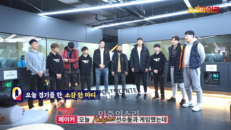라이크미디어 이미지