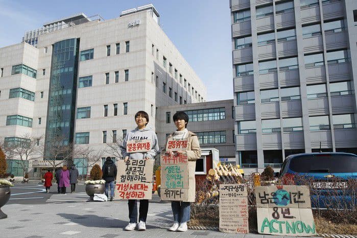 윤해영·윤현정 활동가가 울산시청 앞에서 피켓시위를 하는 모습.