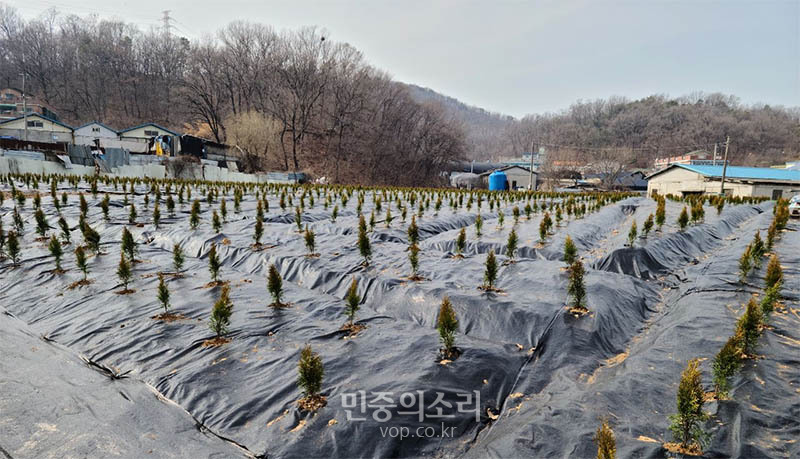 LH 직원들이 구매한 경기도 시흥시 과림동의 토지