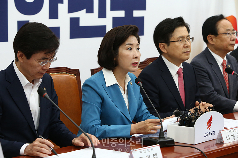 자유한국당 나경원 원내대표가 17일 국회에서 열린 당대표 및 최고위원-중진의원 연석회의에서 모두발언하고 있다. 2019.07.17