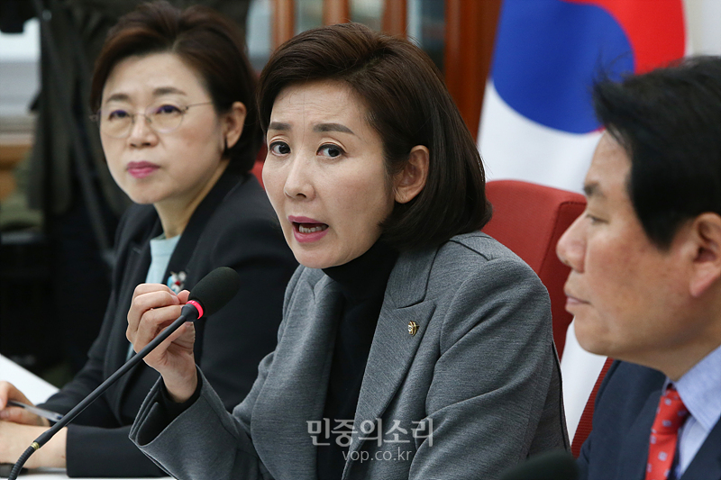 자유한국당 나경원 원내대표가 29일 국회에서 기자회견을 열고 민식이법 처리 조건으로 유치원 3법 본회의 상정 거부를 조건으로 주장하고 있다. 2019.11.29