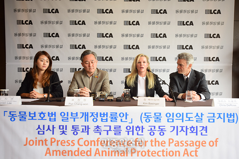 동물해방물결과 국제동물보호단체 LCA(Last Chance for Animals) 주관으로 11일 오전 서울 중구 더플라자호텔에서 ‘동물보호법 일부개정법률안(동물 임의도살 금지법) 심사 및 통과 촉구를 위한 공동 기자회견’이 열렸다. 배우 킴 베이싱어가 발언을 하고 있다. 2019.07.11