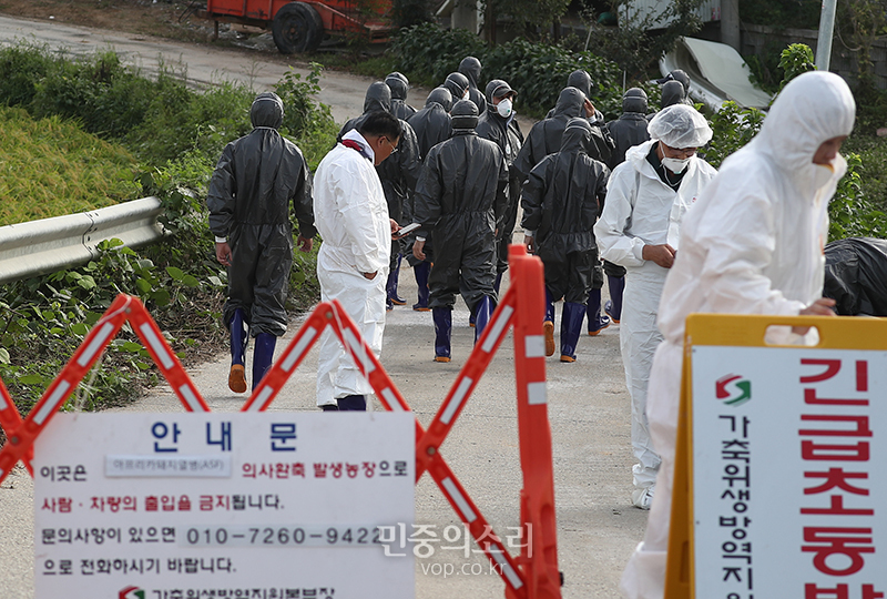 아프리카돼지열병(ASF)이 발생한 17일 오후 경기도 파주시의 한 양돈농장에서 방역당국 살처분 위한 작업 노동자들이 도착하고 있다. 2019.09.17