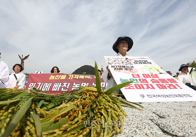 정부의 ‘WTO 개발도상국 지위 포기’를 우려하는 농민들이 청와대 앞에서 농업 정책 전환을 요구하는 퍼포먼스를 하고 있다.