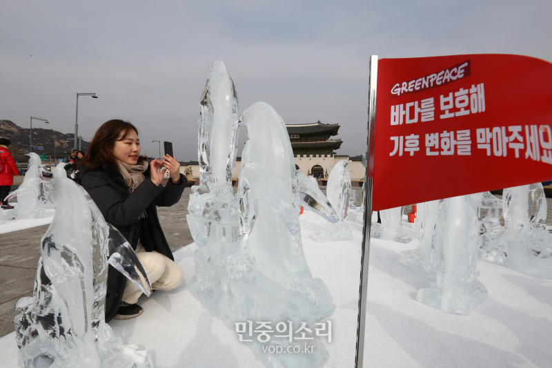 2020년 2월 7일 오전 서울 광화문광장에서 그린피스가 기후위기와 해양보호 메시지를 전하기 위해 얼음으로 조각한 ‘사라지는 펭귄들’을 전시하고 있다.