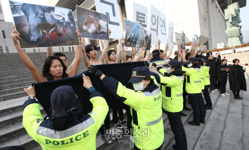 디엑트 액션 에브리웨어(DxE, 직접행동 어디서나) 활동가들이 14일 오후 서울 광화문 세종문화회관 계단에서 착유당하는 동물을 위한 ‘피로 물든 가슴’ 상의 탈의 퍼포먼스을 펼치고 있다. 이들은 발렌타인데이를 타겟으로 초콜렛을 포함한 각종 제품에 쓰이는 유제품의 포장지 속에 감추어진 착유당하는 동물들의 끔찍한 현실을 직접 가시화 했다고 밝혔다. 2020.2.14