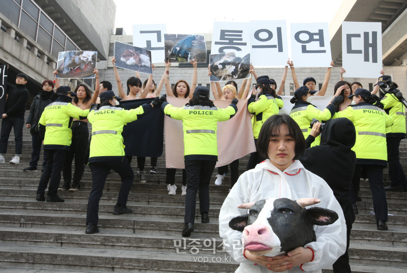 디엑트 액션 에브리웨어(DxE, 직접행동 어디서나) 활동가들이 14일 오후 서울 광화문 세종문화회관 계단에서 착유당하는 동물을 위한 ‘피로 물든 가슴’ 상의 탈의 퍼포먼스을 펼치고 있다. 이들은 발렌타인데이를 타겟으로 초콜렛을 포함한 각종 제품에 쓰이는 유제품의 포장지 속에 감추어진 착유당하는 동물들의 끔찍한 현실을 직접 가시화 했다고 밝혔다. 2020.2.14