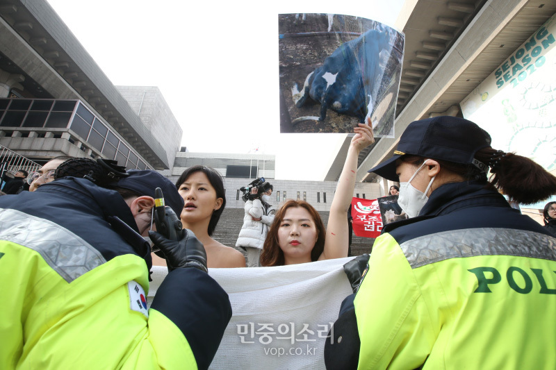 디엑트 액션 에브리웨어(DxE, 직접행동 어디서나) 활동가들이 14일 오후 서울 광화문 세종문화회관 계단에서 착유당하는 동물을 위한 ‘피로 물든 가슴’ 상의 탈의 퍼포먼스을 펼치고 있다. 이들은 발렌타인데이를 타겟으로 초콜렛을 포함한 각종 제품에 쓰이는 유제품의 포장지 속에 감추어진 착유당하는 동물들의 끔찍한 현실을 직접 가시화 했다고 밝혔다. 2020.2.14