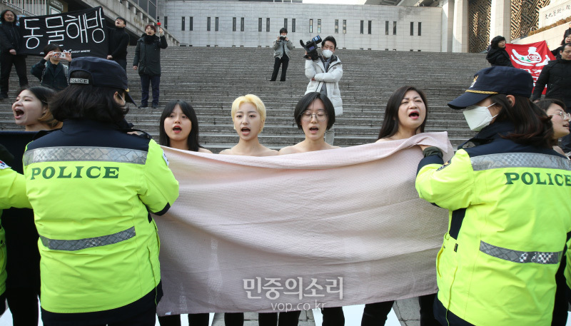 디엑트 액션 에브리웨어(DxE, 직접행동 어디서나) 활동가들이 14일 오후 서울 광화문 세종문화회관 계단에서 착유당하는 동물을 위한 ‘피로 물든 가슴’ 상의 탈의 퍼포먼스을 펼치고 있다. 이들은 발렌타인데이를 타겟으로 초콜렛을 포함한 각종 제품에 쓰이는 유제품의 포장지 속에 감추어진 착유당하는 동물들의 끔찍한 현실을 직접 가시화 했다고 밝혔다. 2020.2.14