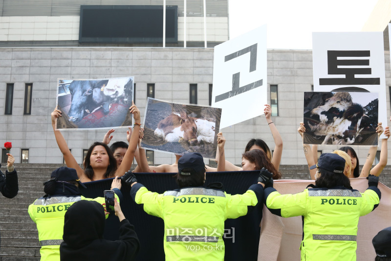 디엑트 액션 에브리웨어(DxE, 직접행동 어디서나) 활동가들이 14일 오후 서울 광화문 세종문화회관 계단에서 착유당하는 동물을 위한 ‘피로 물든 가슴’ 상의 탈의 퍼포먼스을 펼치고 있다. 이들은 발렌타인데이를 타겟으로 초콜렛을 포함한 각종 제품에 쓰이는 유제품의 포장지 속에 감추어진 착유당하는 동물들의 끔찍한 현실을 직접 가시화 했다고 밝혔다. 2020.2.14