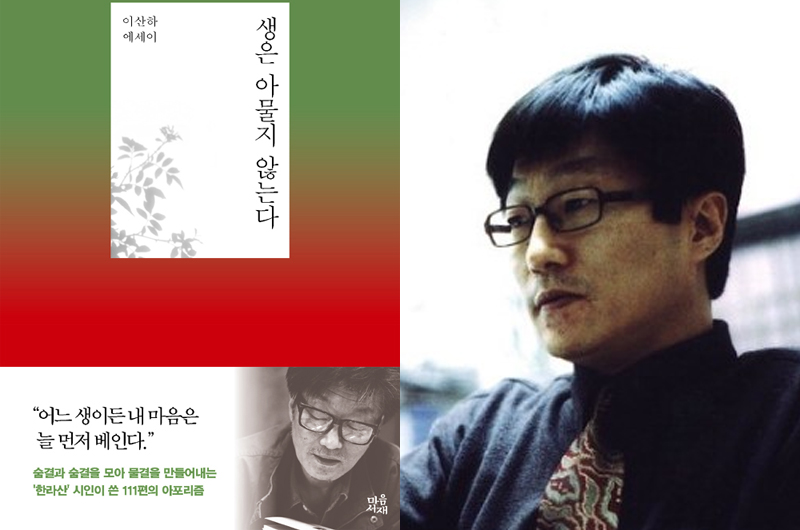- 이산하 시인의 산문집 생은 아물지 않는다;