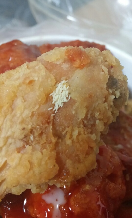 대형마트 치킨에서 파리알이...어디서 생겼을까? - 민중의소리