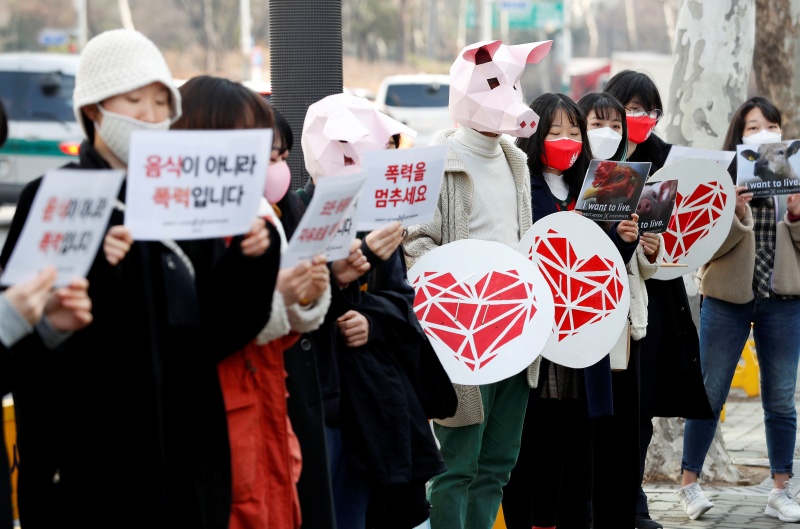 직접행동 DxE(Direct Action Everywhere, 디엑스이) 회원들이 3일 서울 양천구 서울남부지방법원 앞에서 패밀리 레스토랑 방해시위 재판 관련 크리스마스 캐롤과 동물해방의 염원을 담은 노래를 부르고 있다. 2021.03.03.