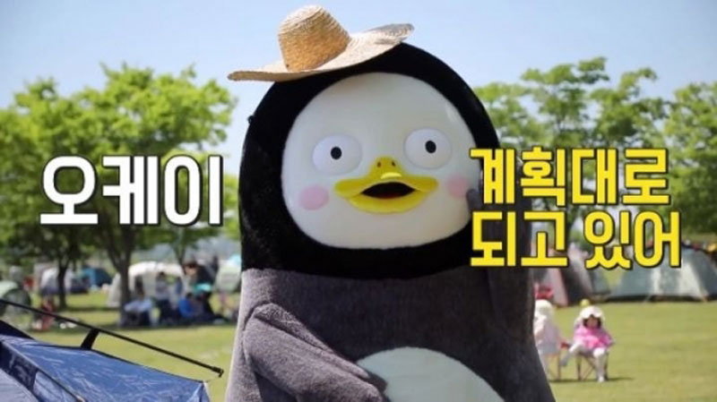 계획대로 되고 있어!