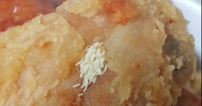 대형마트 치킨에서 파리알이...어디서 생겼을까? - 민중의소리