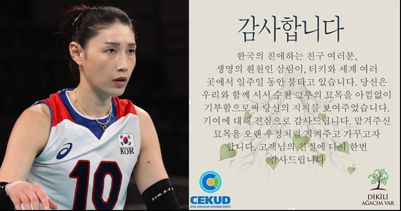 '김연경 팬 묘목 기부'에 터키 환경단체 "한국 친구 감사합니다" - Vimarsana News