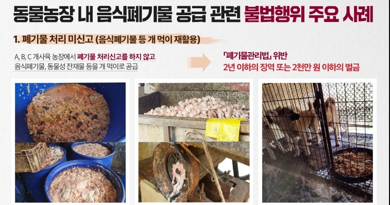 음식물폐기물 동물 먹이 불법 공급 등 경기도 동물농장들 무더기 적발