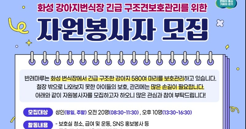 경기도 구출 강아지 보호 자원봉사자 모집에 500명 넘게 신청