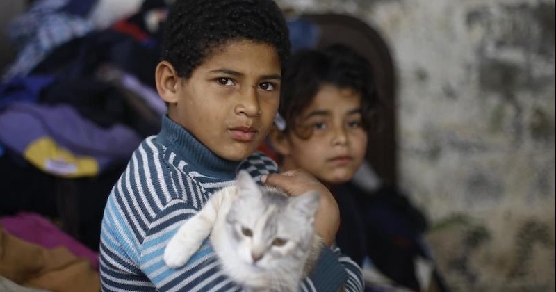 가자지구 공격 중단을  촉구하는 이스라엘의 생존자들