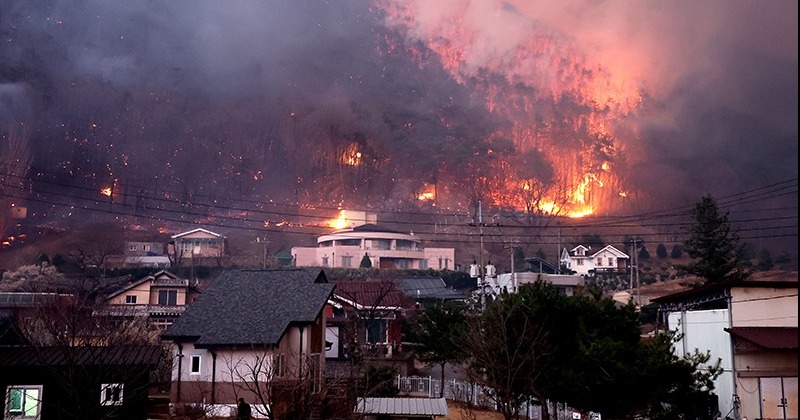 경북 의성 산불, 청송·안동·영덕으로 확산