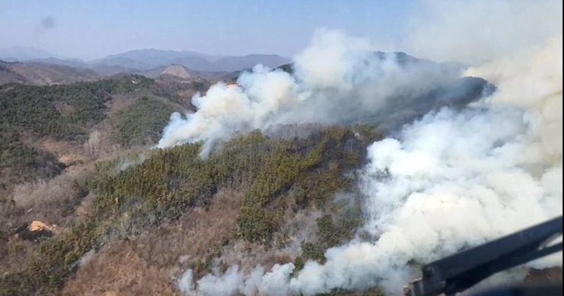 충북 옥천 산불, 경부고속도로 상행선 금강IC~영동IC 차단