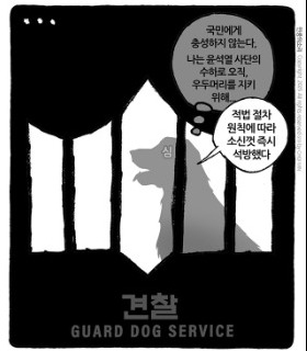 최민의 시사만평 - 누구의 소신