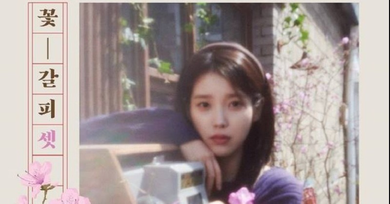 [서정민갑의 수요뮤직] 아이유의 [꽃갈피 셋]을 들으며 실망하다