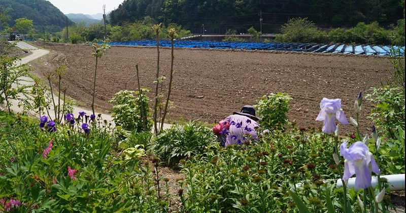 [마을 만세] 할머니 이야기 들으러 산골에 갑니다