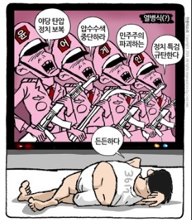최민의 시사만평 - 극우 가상 열병식