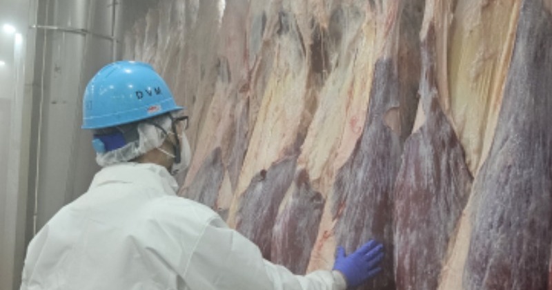 인천시, 설 앞두고 도축장 개장시간 1시간 앞당긴다