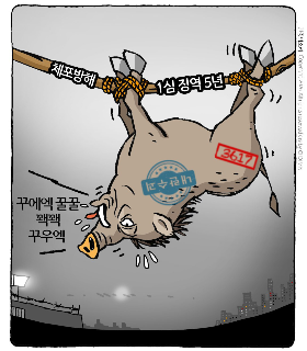 최민의 시사만평 - 첫 선고